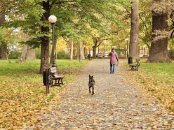 Łódź. Jesień w parku Źródliska w Łodzi. Nie wybrać się tam na spacer to grzech!