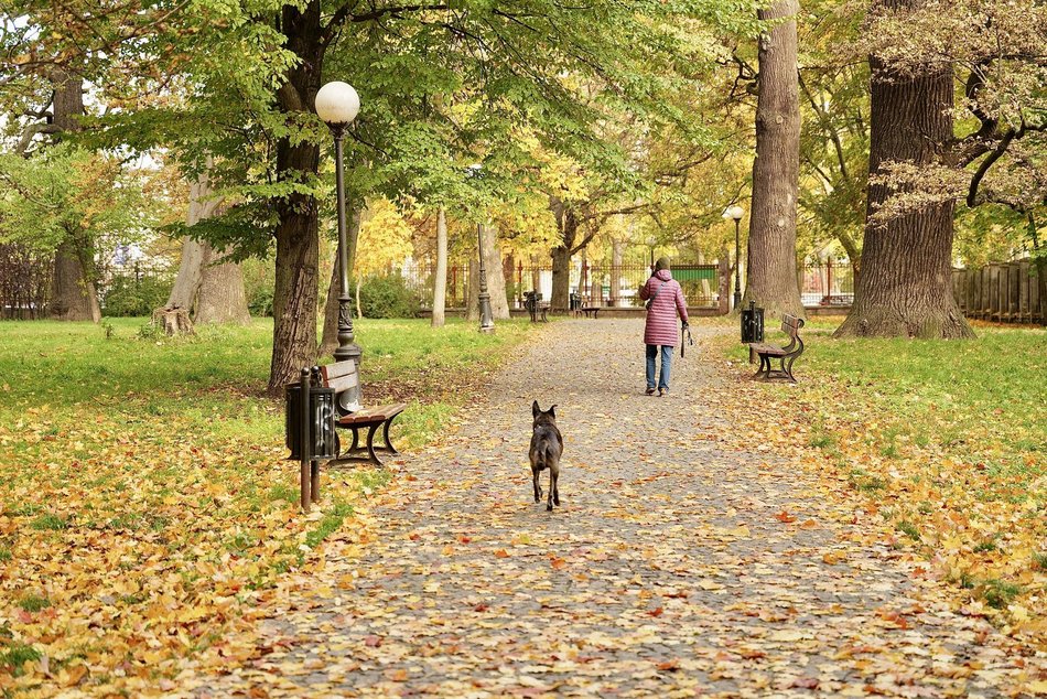 Łódź. Jesień w parku Źródliska w Łodzi. Nie wybrać się tam na spacer to grzech!