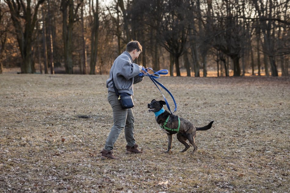 Łódź. Trójnogi Natan ze schroniska w Łodzi znalazł dom! Poznaj Martę i Kasię, które obdarzyły go miłością