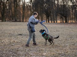 Łódź. Trójnogi Natan ze schroniska w Łodzi znalazł dom! Poznaj Martę i Kasię, które obdarzyły go miłością