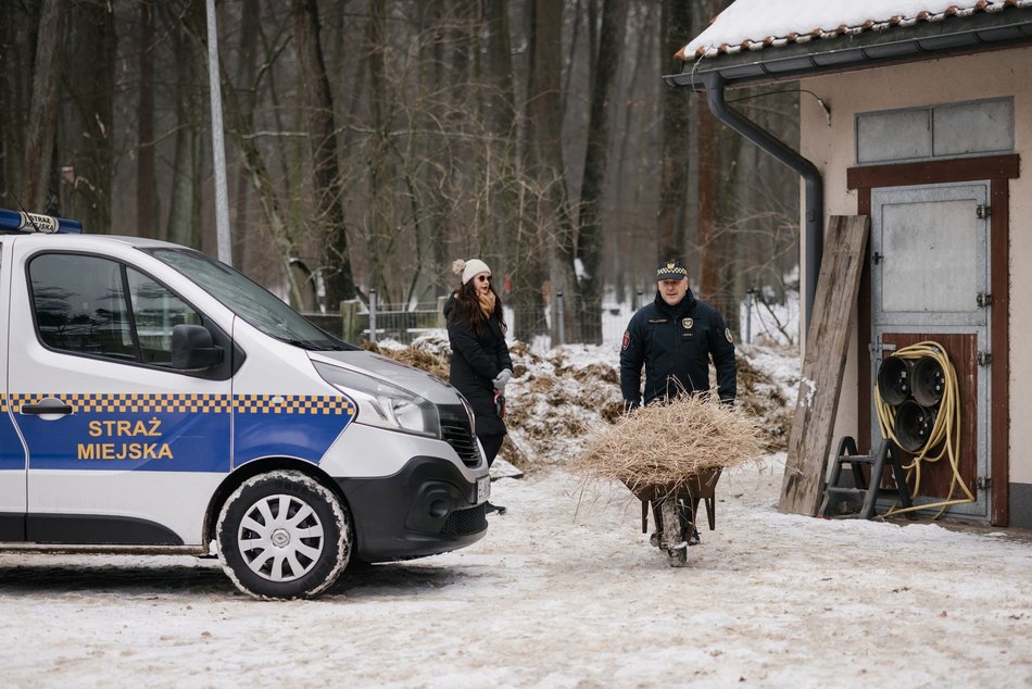 Łódź. Straż Miejska świętuje WOŚP 2026 w Łodzi! Jazda konna, gry i zabawy przy Wycieczkowej