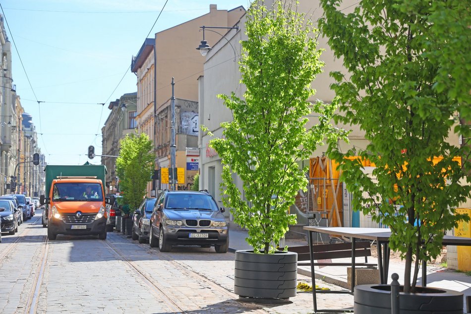 Nowe drzewa przy Zielonej w Łodzi. Zobacz, jak stawiali wielkie donice
