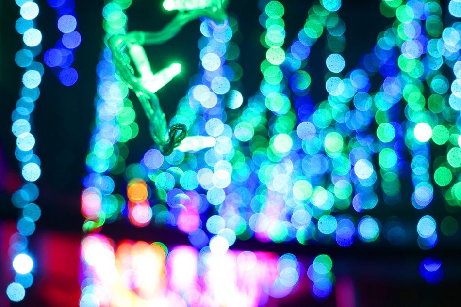 Park Miliona Świateł w Orientarium Zoo Łódź