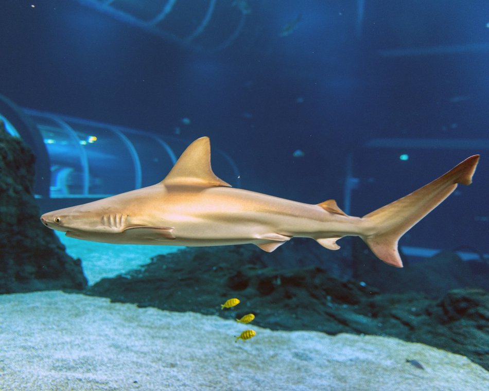 Orientarium Zoo Łódź