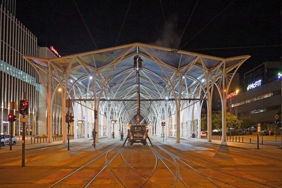 Stajnia Jednorożców w Łodzi podczas mycia