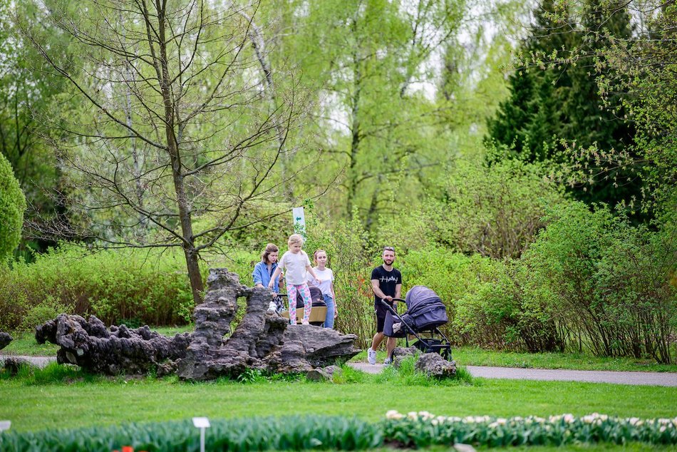 Łódź. Świętuj 602. Urodziny Łodzi na zielono. Ogród Botaniczny w Łodzi całkowicie za darmo!