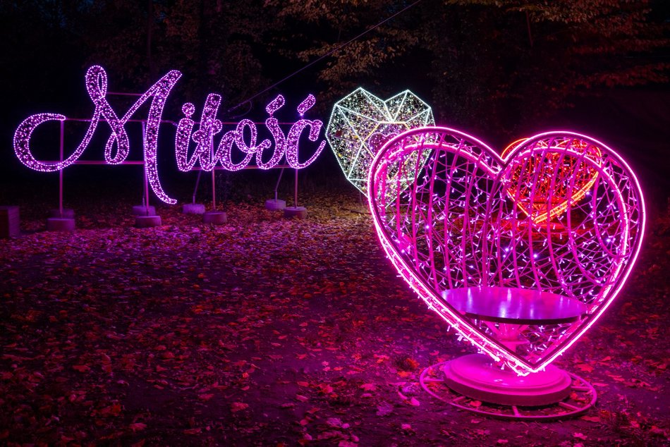 Park Miliona Świateł w Łodzi otwarty! Magiczne zwierzęta opanowały Orientarium Zoo Łódź