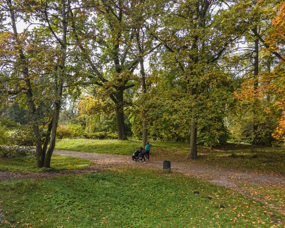 Park Poniatowskiego w jesiennych barwach. Baśniowy krajobraz w centrum miasta