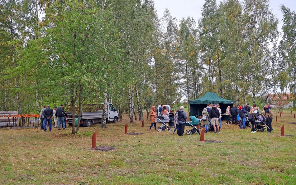 Rozrasta się Las Młodej Łodzi. Sadzenie drzew