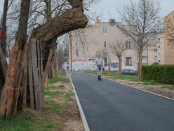 Łódź. Coraz więcej dróg rowerowych na Dąbrowie. Nowe połączenia z centrum, Chojnami i Widzewem