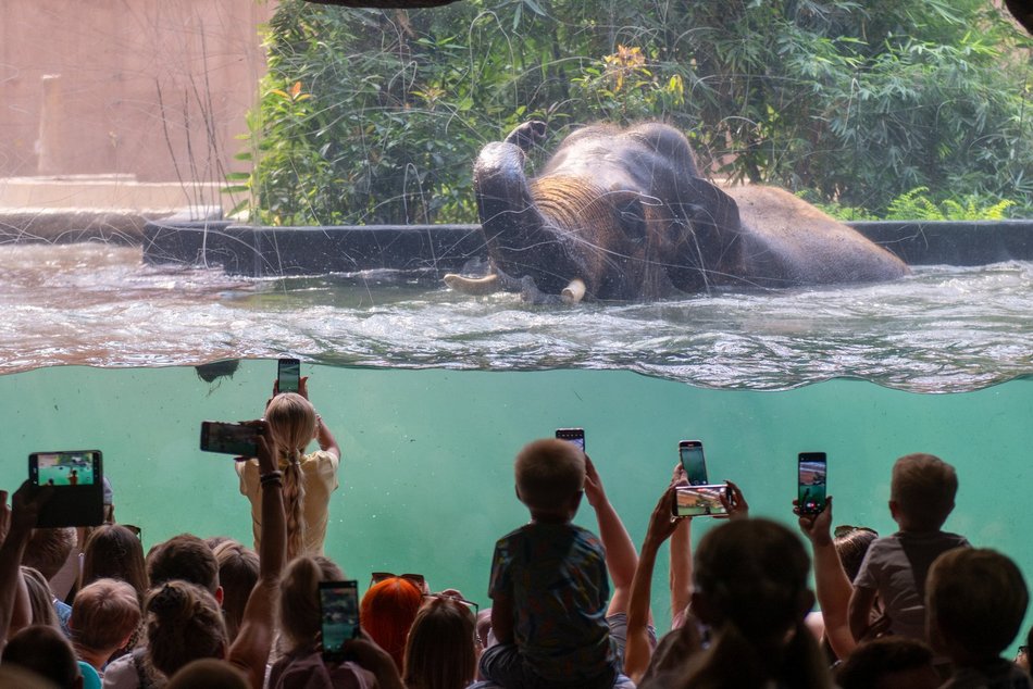 Łódź. Orientarium Zoo Łódź