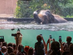 Łódź. Orientarium Zoo Łódź