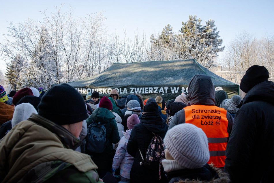 Łódź. Psy ze schroniska w Łodzi na spacerze
