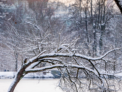 Łódź. Najpiękniejsza Łódź zimą. 10 tapet na telefon, które wprowadzą zimowe wibracje!