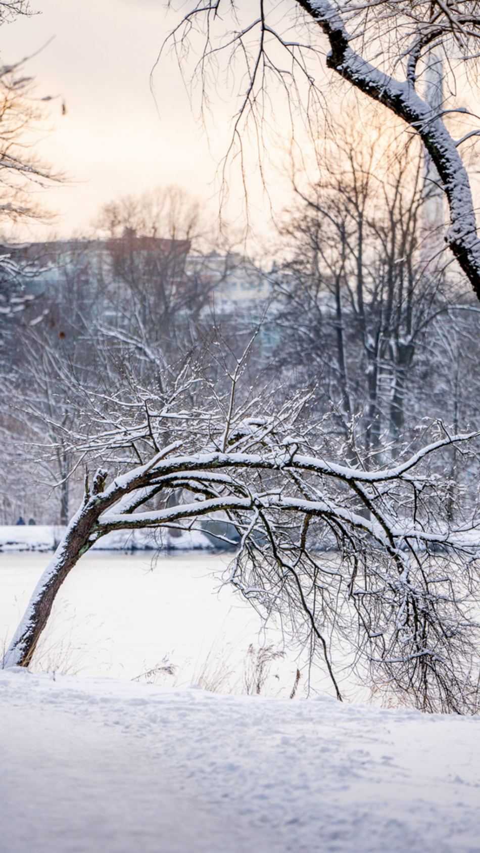 Łódź. Najpiękniejsza Łódź zimą. 10 tapet na telefon, które wprowadzą zimowe wibracje!