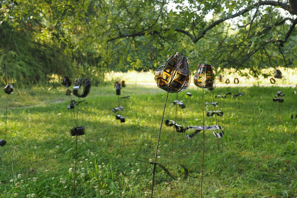 Praca z wikliny w Ogrodzie Botanicznym w Łodzi