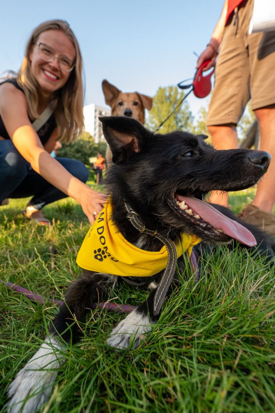 Łódź. Psia Polówka na Widzewskiej Górce. Psiaki przejęły dowodzenie!