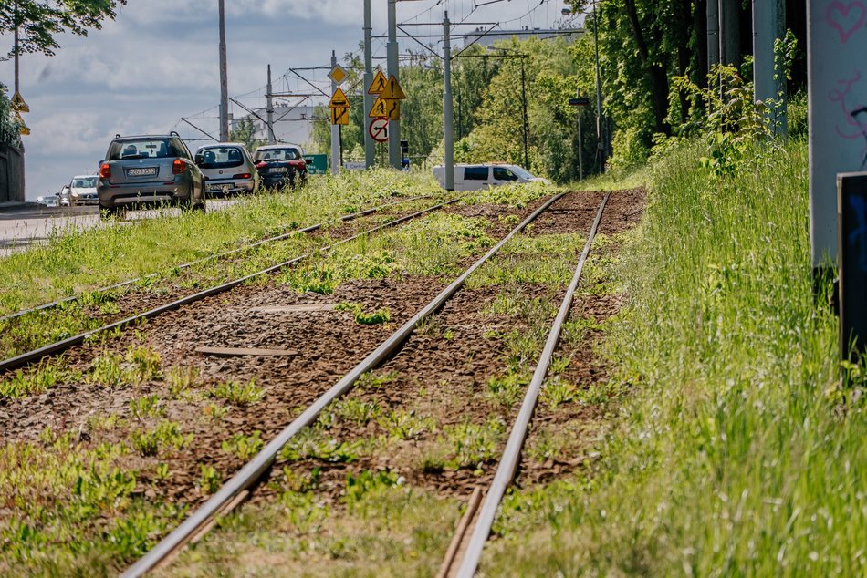 Łódź. Ponad 30 kilometrów najbardziej zielonych torowisk w Polsce? Oczywiście w Łodzi!