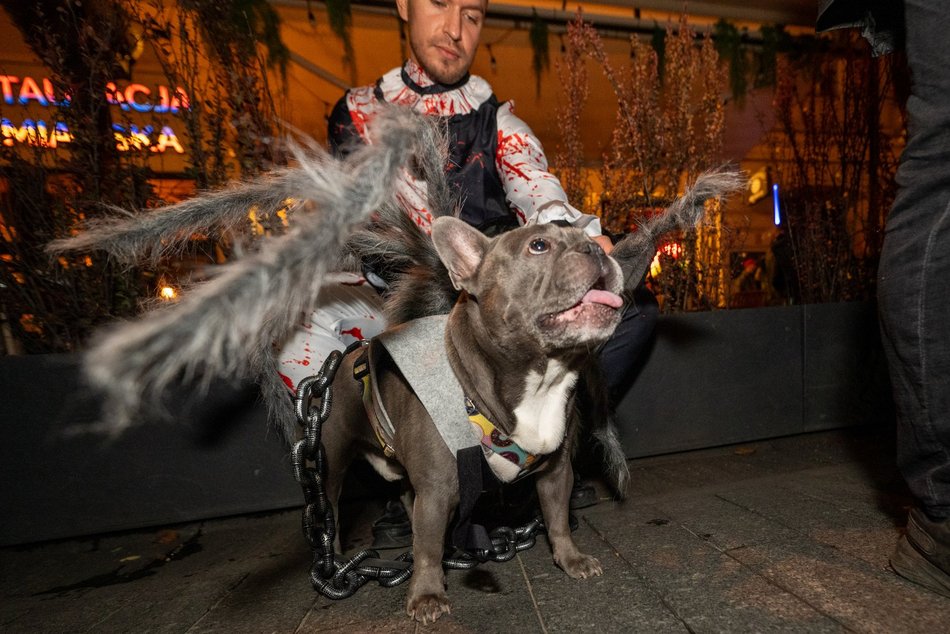 Łódź. Halloweenowa parada przeszła Piotrkowską w Łodzi. Tłumy duchów, czarownic i zombie!
