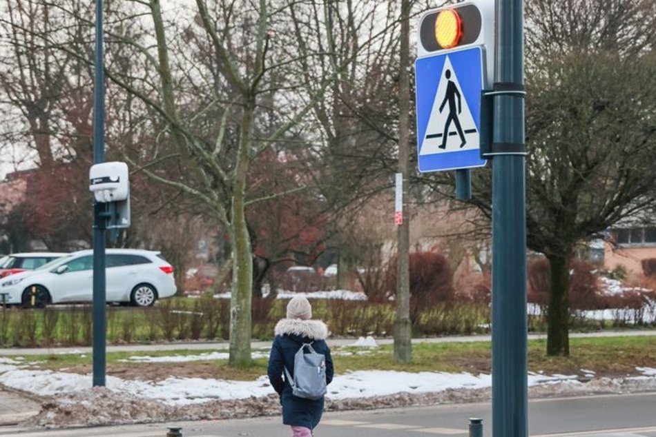 Łódź. Nowe inteligentne przejście dla pieszych. Będzie bezpieczniej?