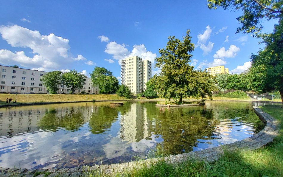 Zbiornik w parku Staromiejskim ma przypominać dawny staw grobelny