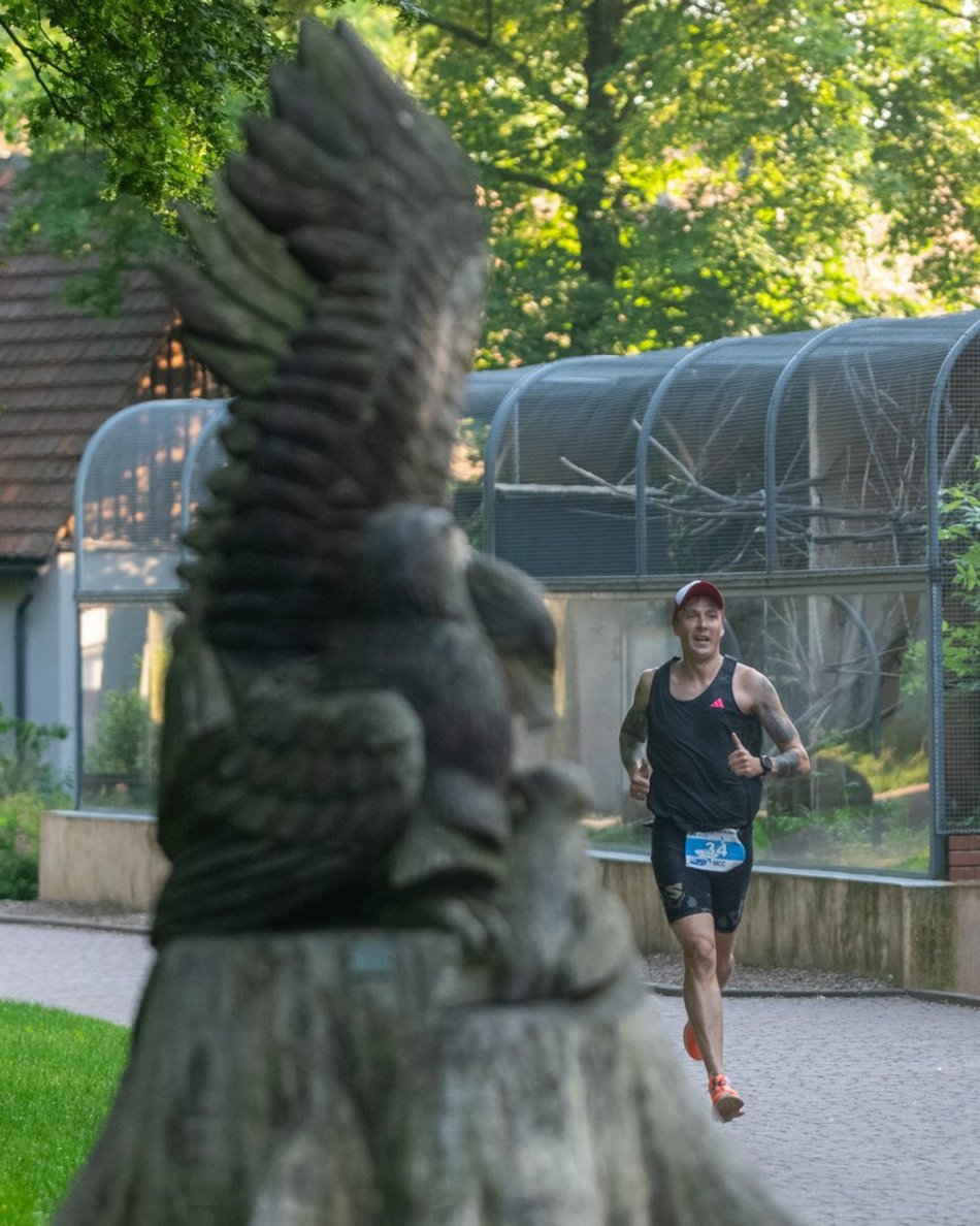 Bieg Rekina w Orientarium Zoo Łódź