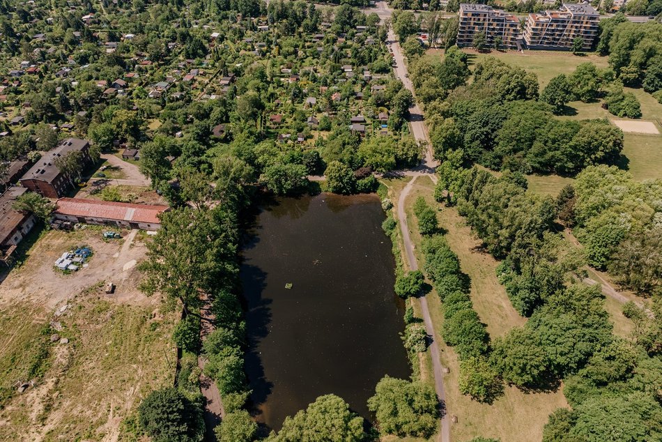 Gdzie na ryby w Łodzi? Parki i stawy znane doświadczonym wędkarzom