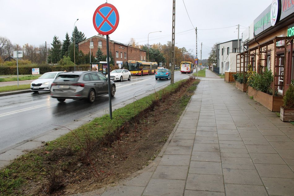 Sadzenie krzewów wzdłuż ulicy Retkińskiej