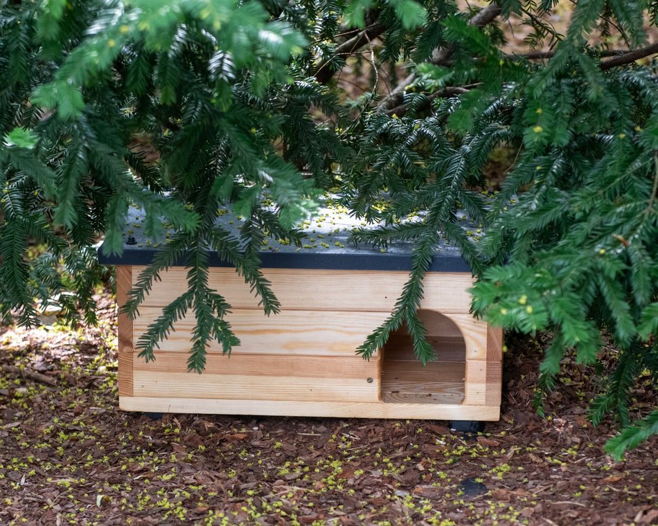 Łódź. Nietypowy ogród w XXIII LO w Łodzi. Powstał z materiałów z recyklingu