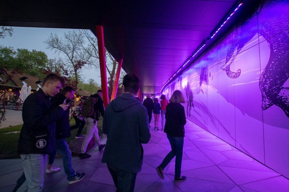 Łódź. Noc Muzeów Łódź 2026. Odkryj podziemia Orientarium Zoo Łódź i inne sekrety