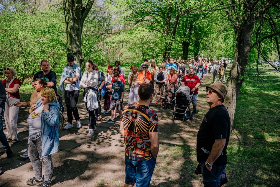 Łódź. Ogród Botaniczny w Łodzi w wiosennej odsłonie