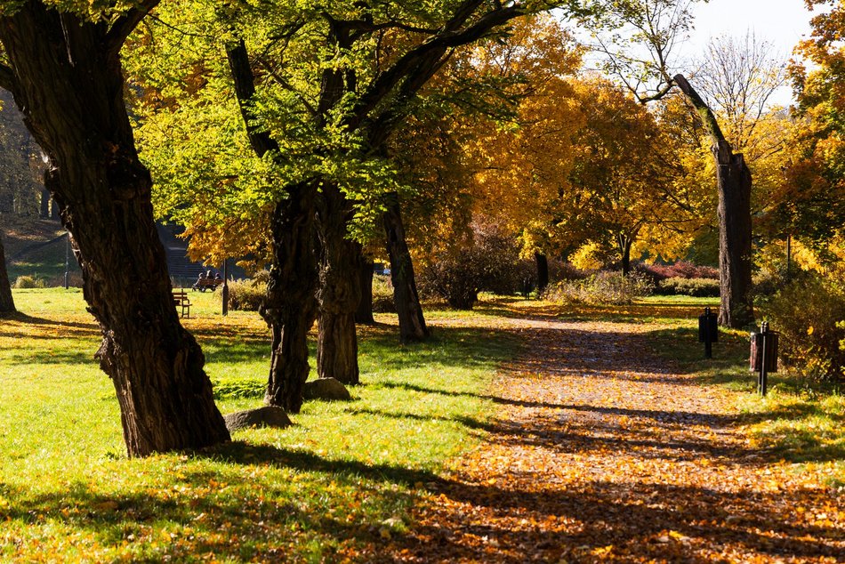 Łódź. Park Helenów w Łodzi w jesiennej odsłonie. Spacer w tym miejscu to czysta przyjemność