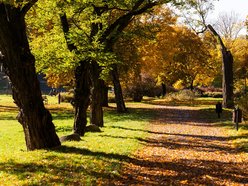 Łódź. Park Helenów w Łodzi w jesiennej odsłonie. Spacer w tym miejscu to czysta przyjemność