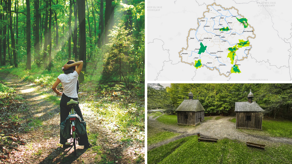 Łódź. Parki Krajobrazowe w Łódzkiem. Czy wiedziałeś, że jest ich aż 7?