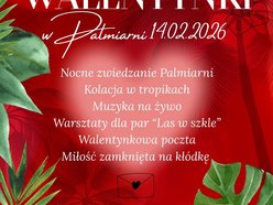 Łódź. Palmiarnia w Łodzi