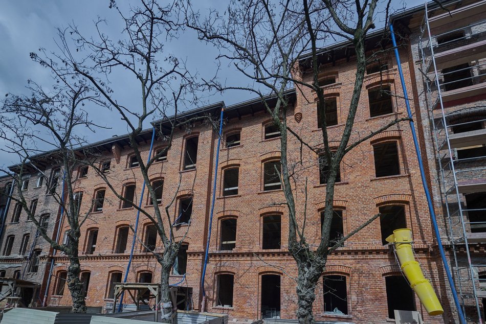 Famuły przy Ogrodowej