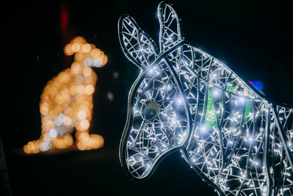 Park Miliona Świateł w Orientarium Zoo Łódź