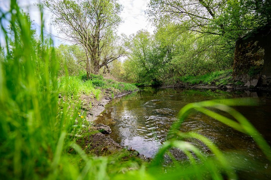 Łódź. Nazwij teren przy rzece Ner w Łodzi! Zielony zakątek w twoich rękach!