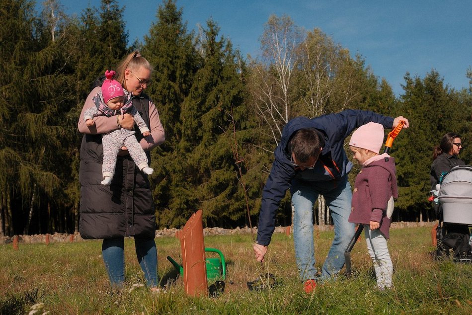 Las Młodej Łodzi powiększył się! Nowe dęby i lipy na pamiątkę narodzin dziecka