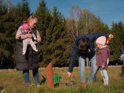 Las Młodej Łodzi powiększył się! Nowe dęby i lipy na pamiątkę narodzin dziecka