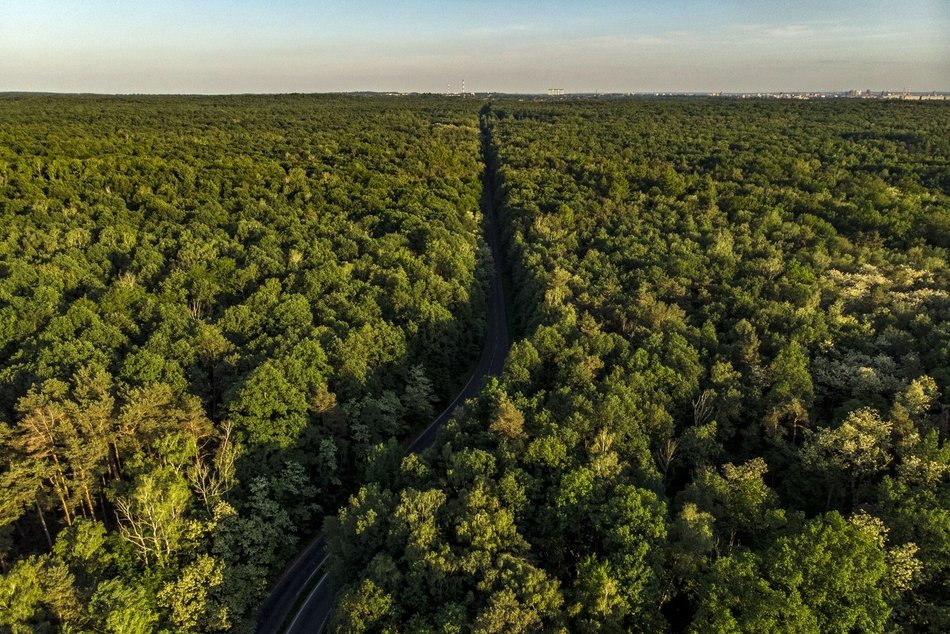 фото ŁÓDŹ.PL