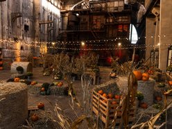 Łódź. Farma Dyń w Fuzji Łódź. Pozycja obowiązkowa na jesienną sesję fotograficzną! [ZDJĘCIA]