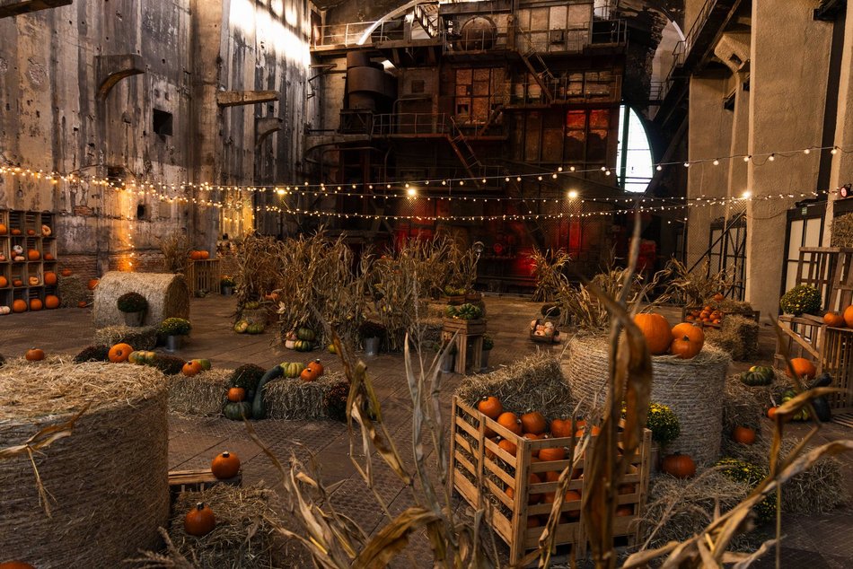 Łódź. Farma Dyń w Fuzji Łódź. Pozycja obowiązkowa na jesienną sesję fotograficzną! [ZDJĘCIA]