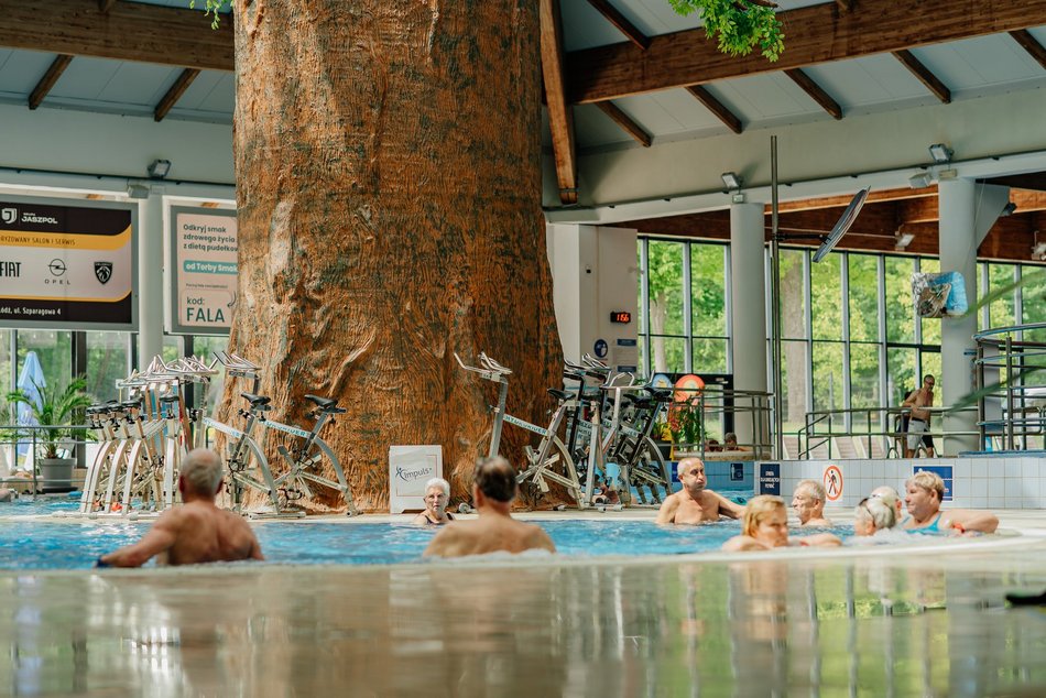 Finał Senioraliów 2025 w Łodzi w Aquaparku Fala