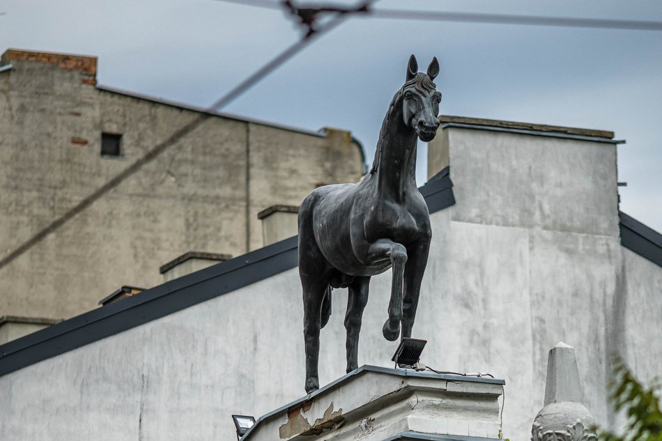 Łódź. „Lecznica pod koniem" na sprzedaż!