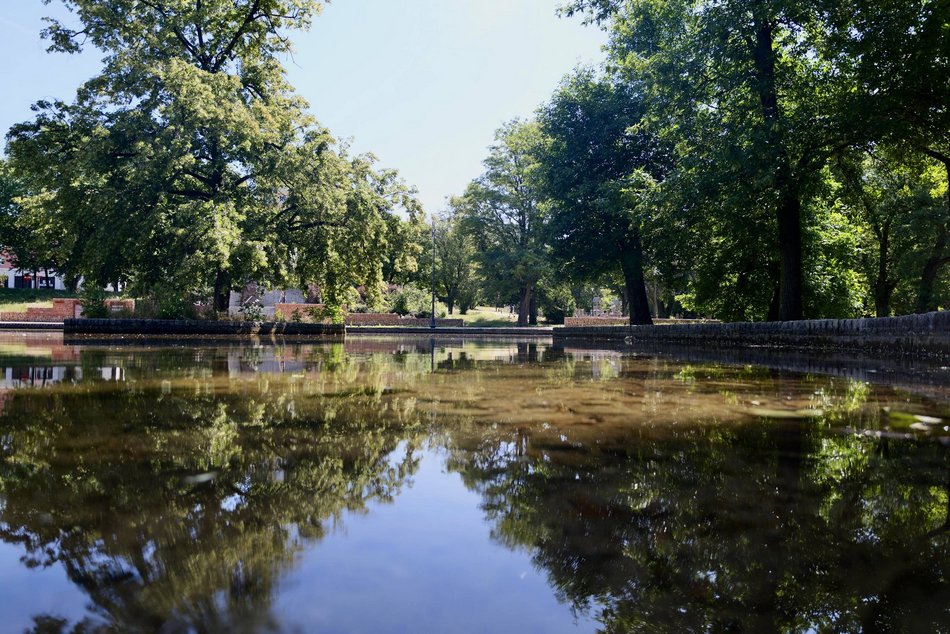 Łódź. Park Staromiejski w letnim wydaniu. Rowerzyści, dzieci i spacerowicze z pieskami