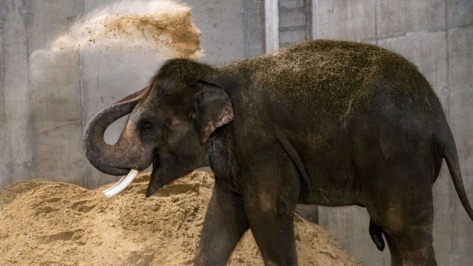 fot. Paweł Łacheta