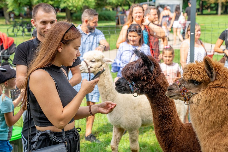Piknik rodzinny na Stawach Jana