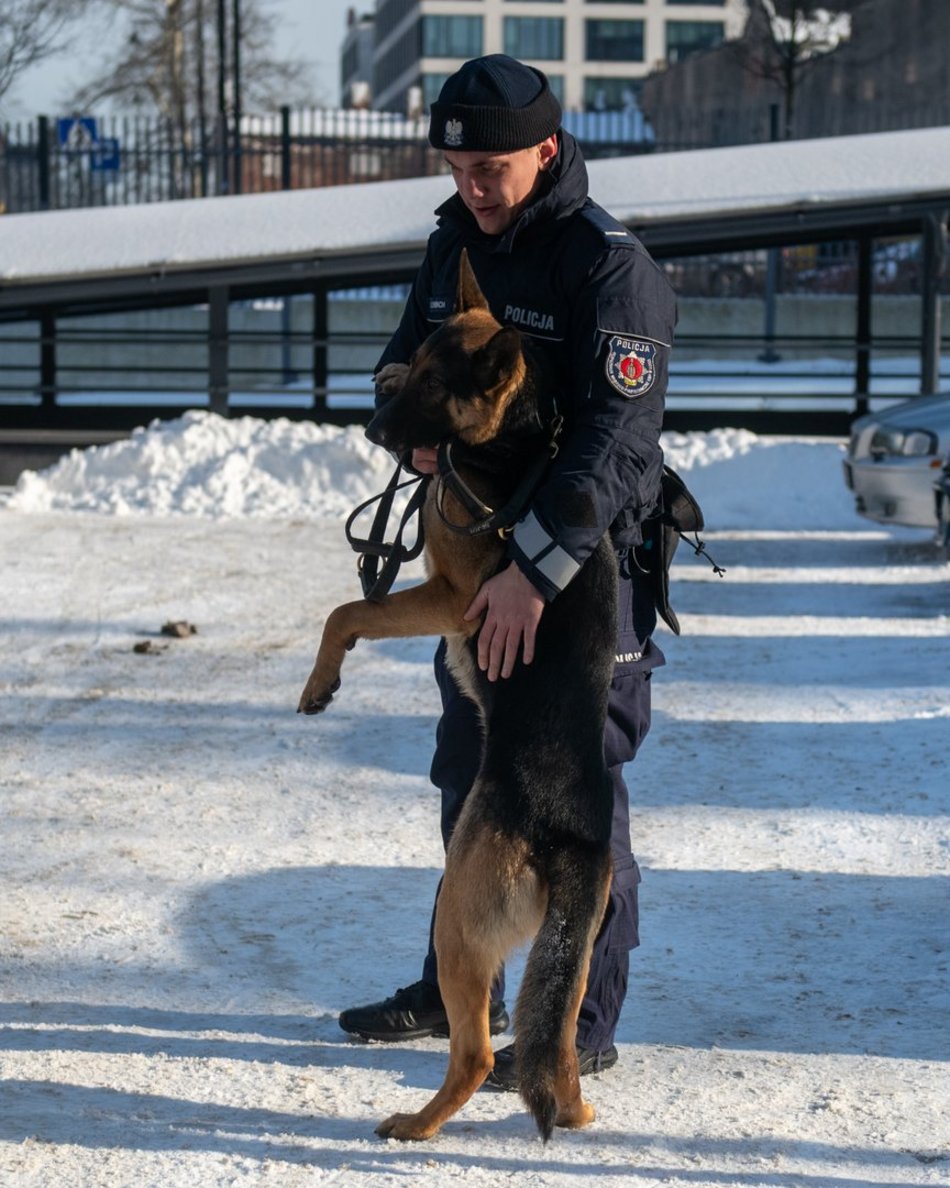 Dwa psy służbowe zasiliły szeregi Komendy Miejskiej Policji w Łodzi