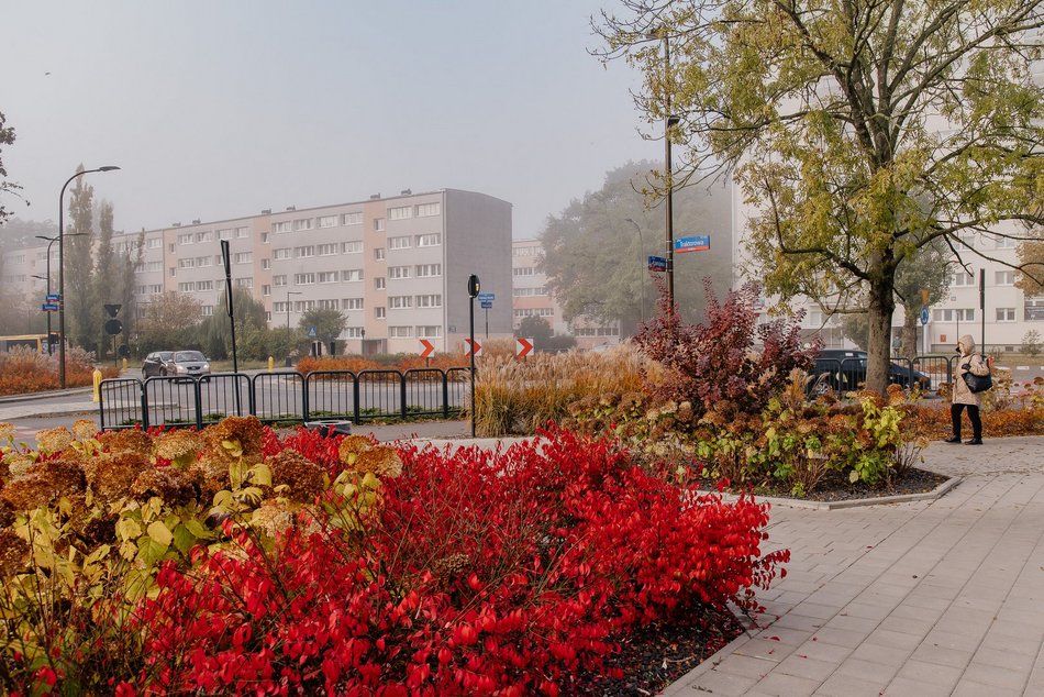 Rondo Vaclava Havla najpiękniejsze w Łodzi? Zobacz Teofilów w jesiennym wydaniu